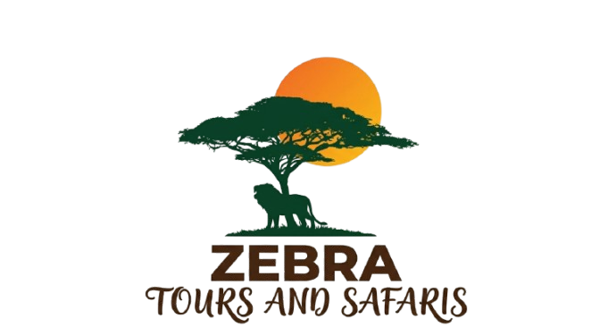 Zebra Tours and Safaris